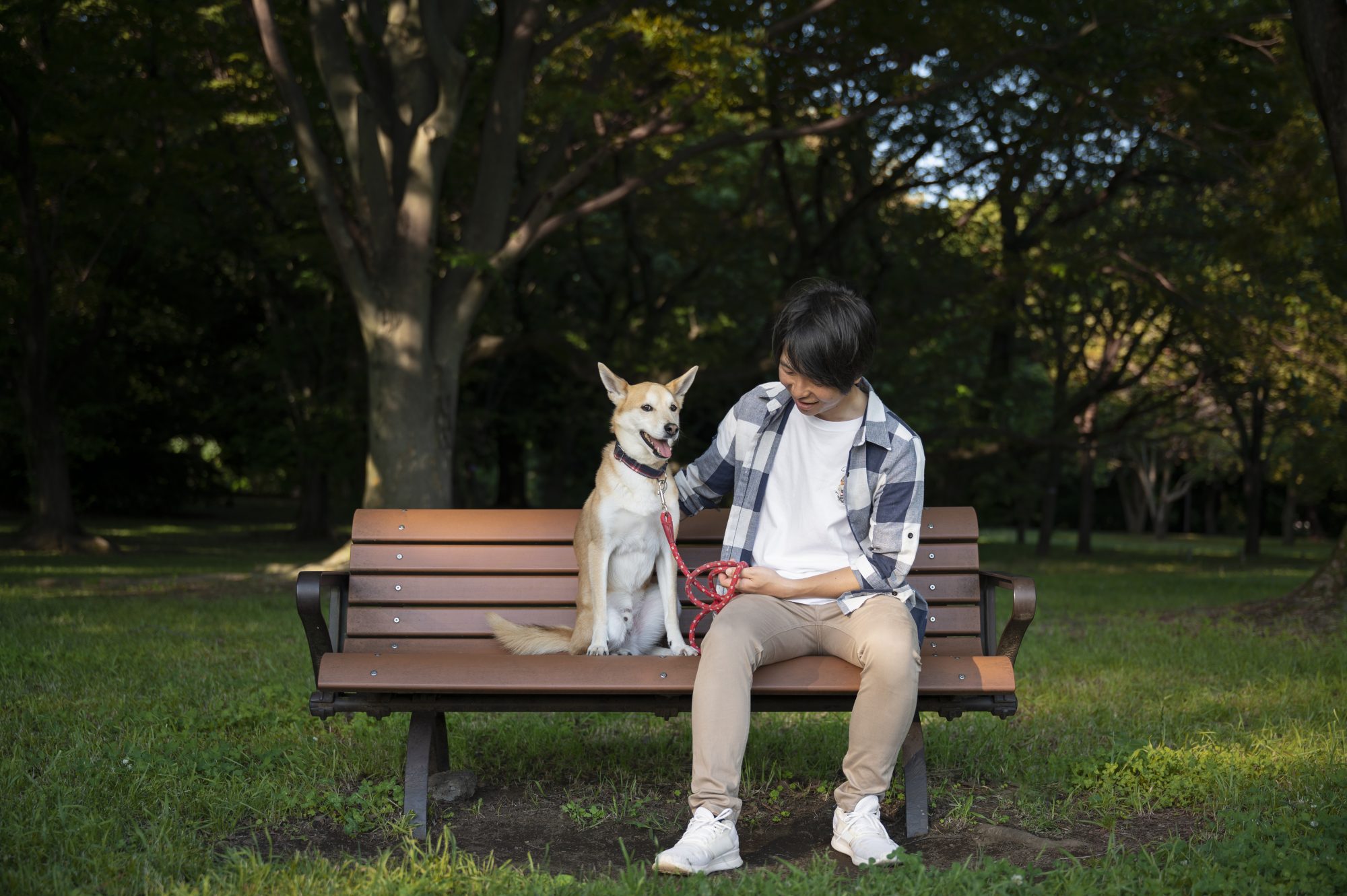 Austin's Top Pet-Friendly Apartments with Dog Parks - shiba inu dog taking a walk with its owner.