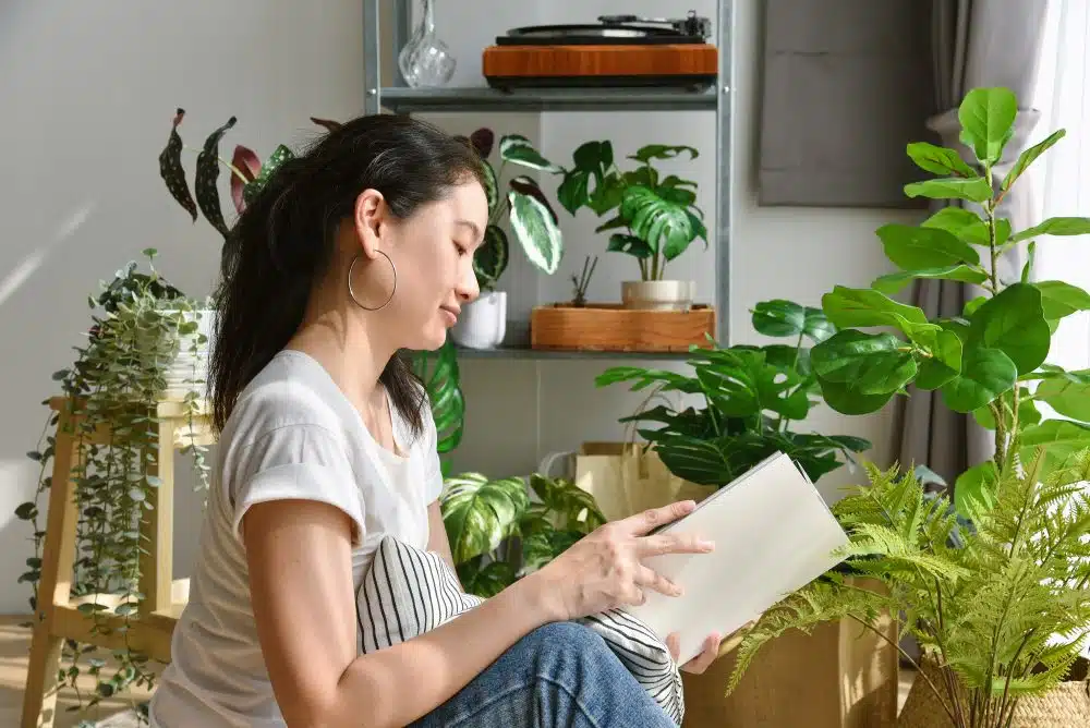 Woman chilling and reading in living room, Artificial plant, Fiddle leaf fig tree, Indoor tropical natural houseplant for home interior and air purification.