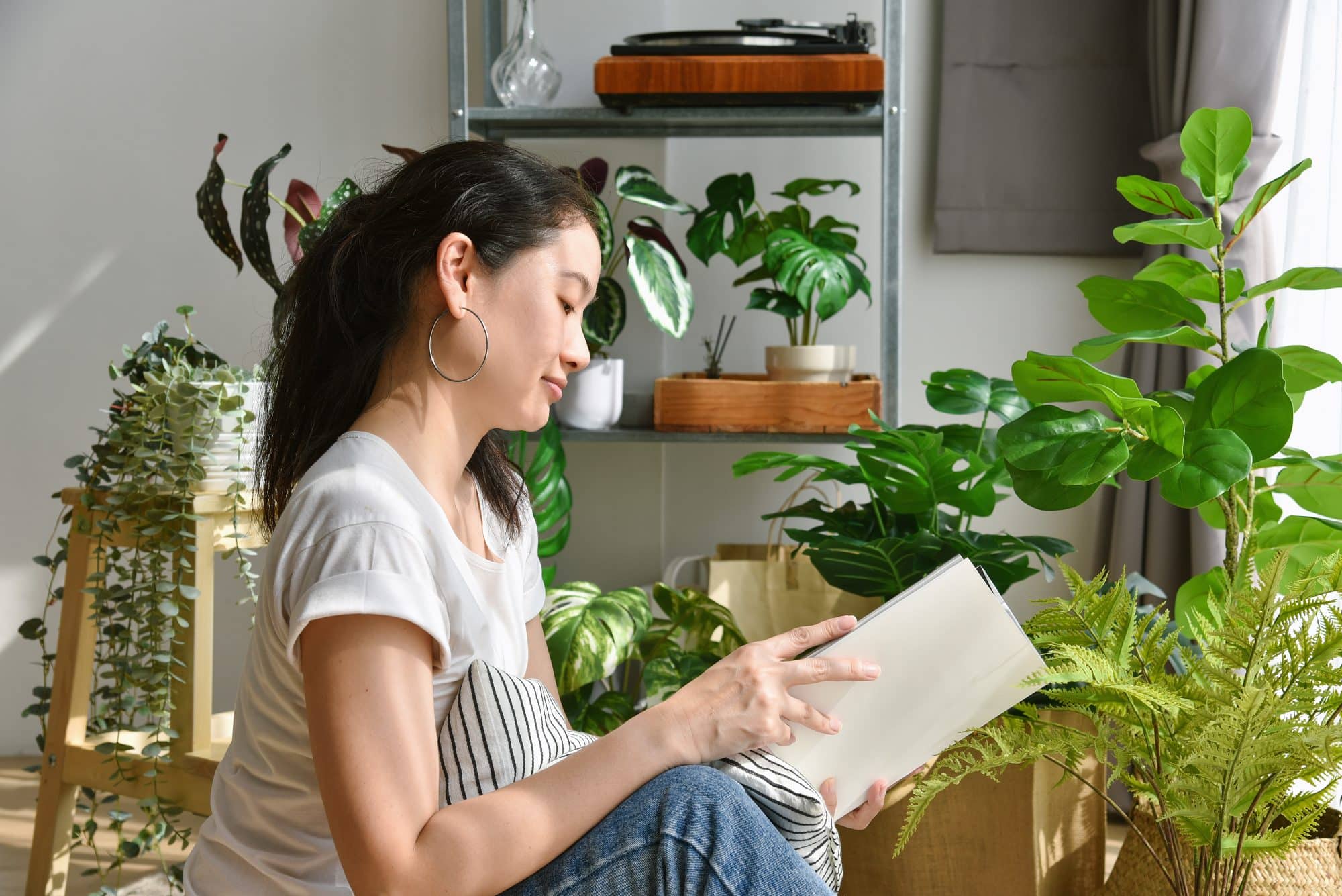 Woman chilling and reading in living room, Artificial plant, Fiddle leaf fig tree, Indoor tropical natural houseplant for home interior and air purification.